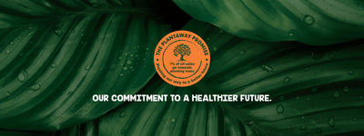 The Plantaway Promise: Nurturing a Greener Future through Tree Planting